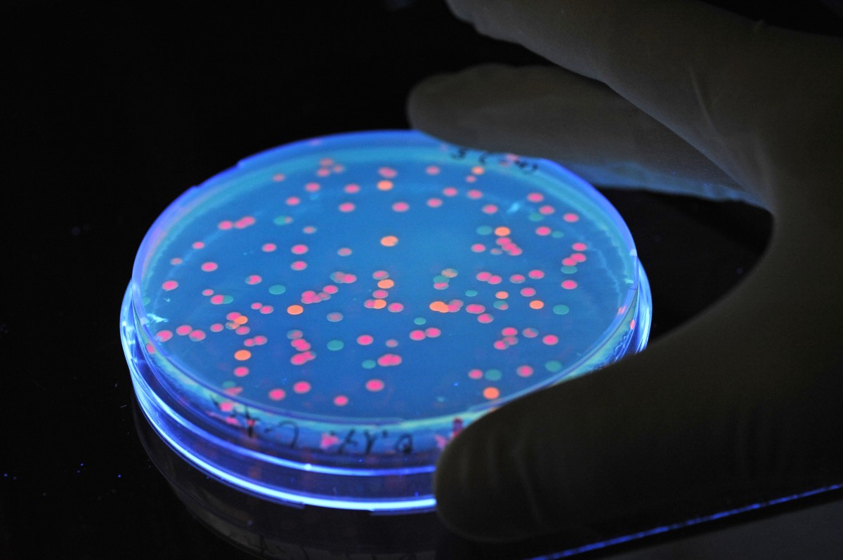 Trotz Salmonellen in Babynahrung: Produkte blieben im Handel