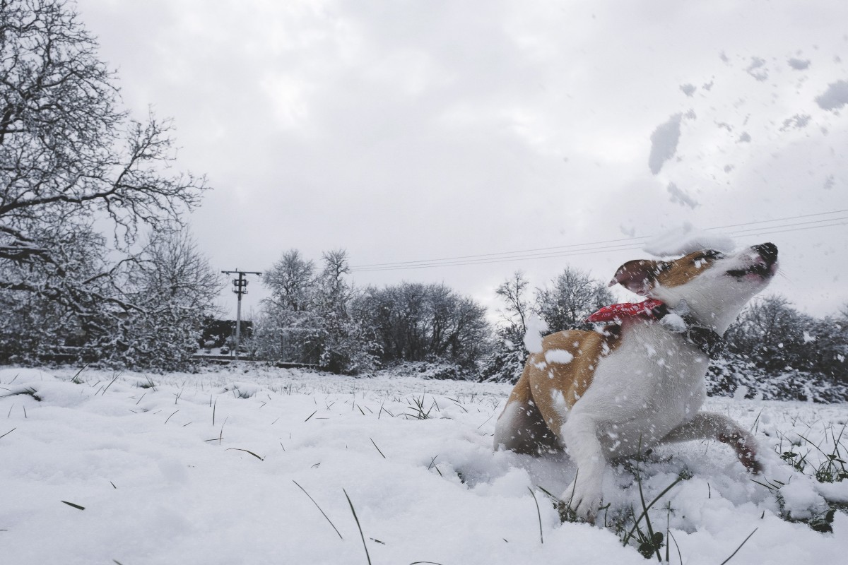 5 bis 15 Zentimeter Schnee