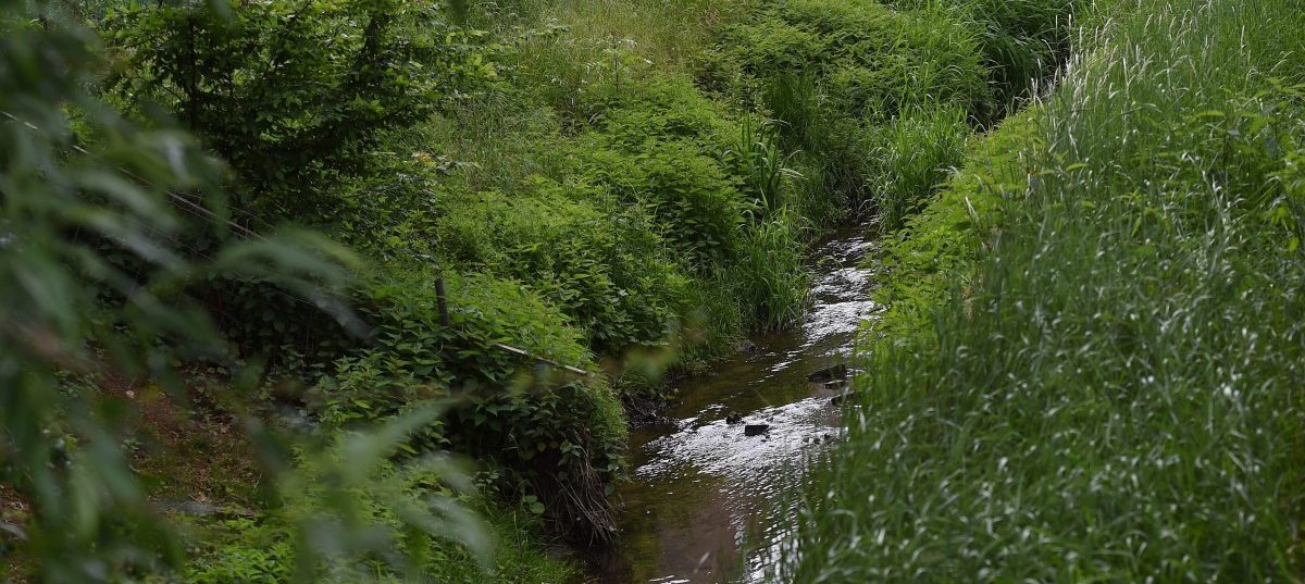 Wasserqualität: Nur zwei Prozent der Luxemburger Flüsse werden als „gut“ eingestuft