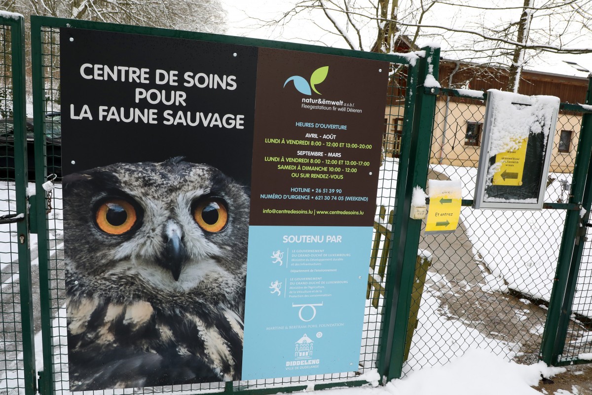 Luxemburgs einzige Pflegestation für Wildtiere geht neue Wege