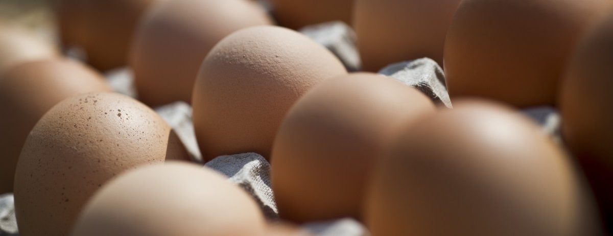 Olympia: 15.000 Eier für die Norweger