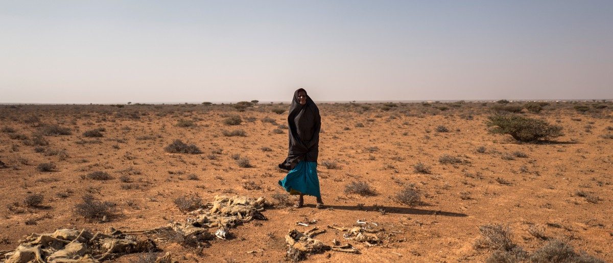 Der ewige Teufelskreis: Wie vermeidet Somalia die nächste Hungerkrise?