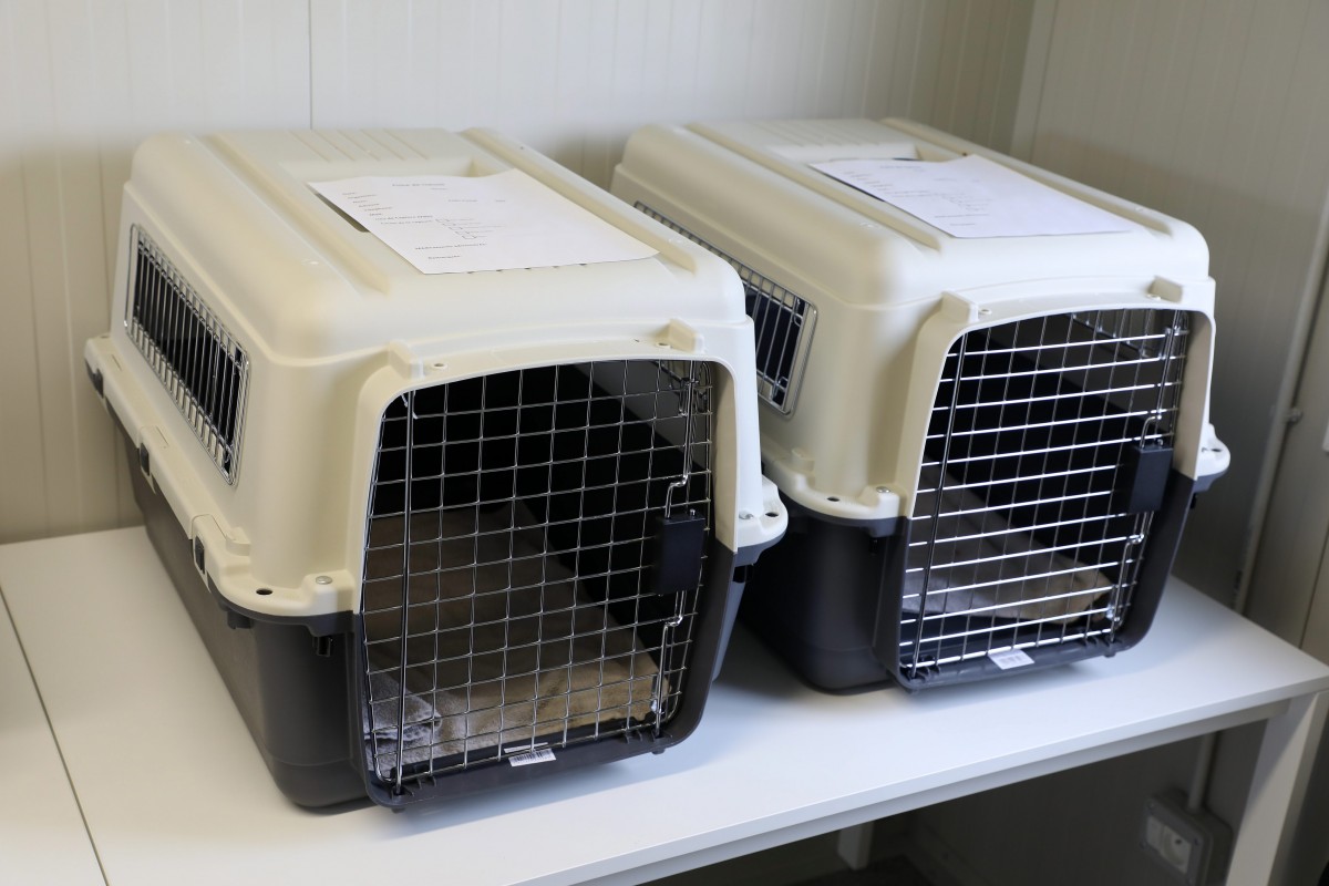 Klappe zu, Tier gerettet: „Wëlldéier Drop-off“ startet durch