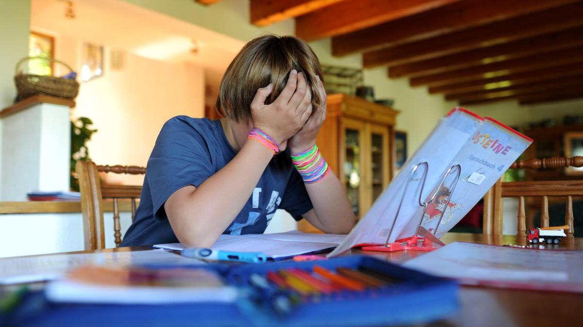 400 neue Stellen: Meisch startet Initiative für Problemschüler