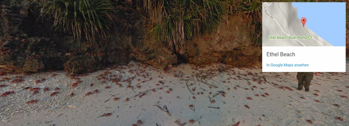 Naturwunder wird online erlebbar