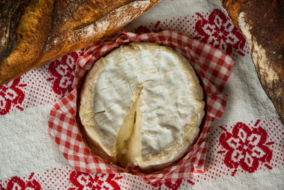 Kolibakterien in Camembert aus der Normandie