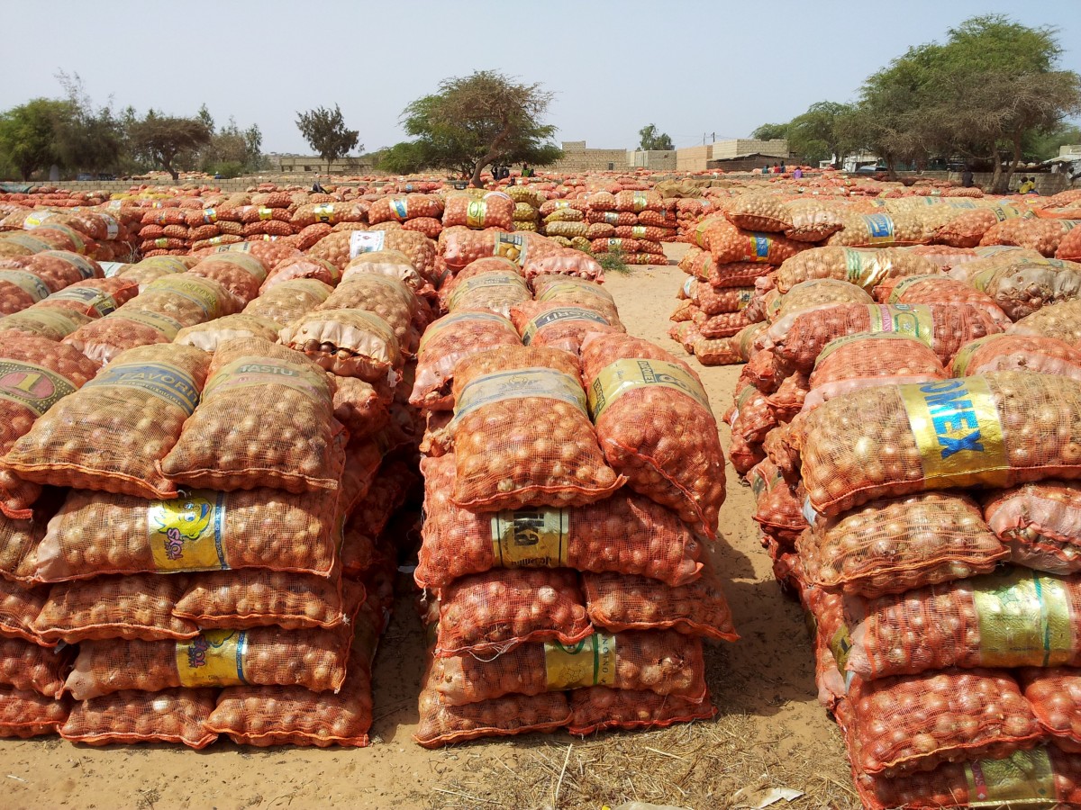 Eine amazonische Handelsstrategie für Afrika