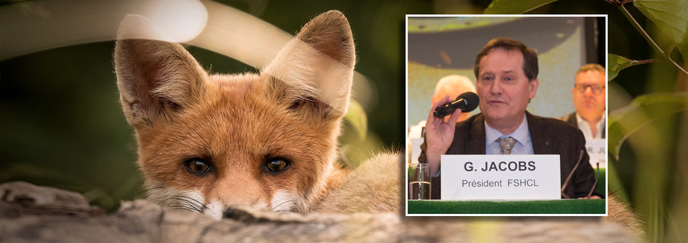 Jäger kritisieren bei Versammlung Verbot der Fuchsjagd