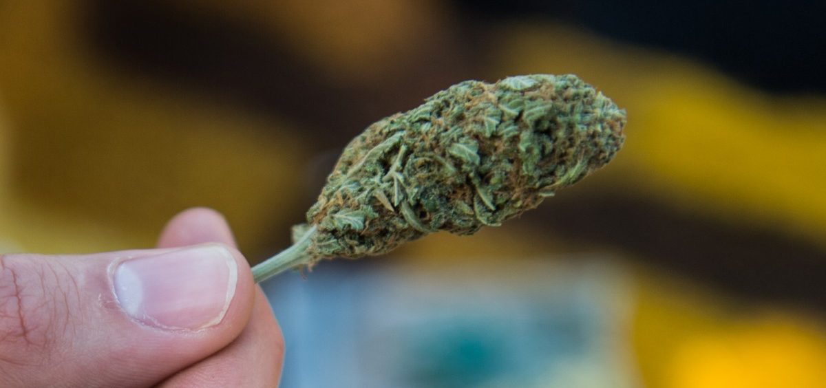Cannabis zur Entspannung