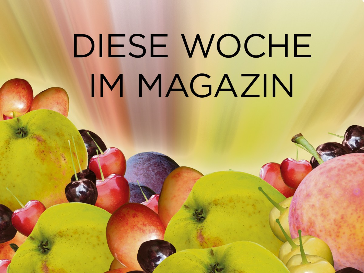 Rückkehr der Klassiker im „Bongert“