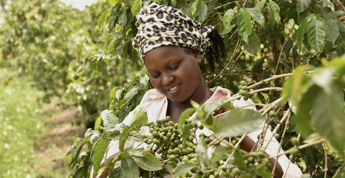 Bananen sind nicht gleich Bananen -„Fairtrade Lëtzebuerg“-Präsident im Gespräch