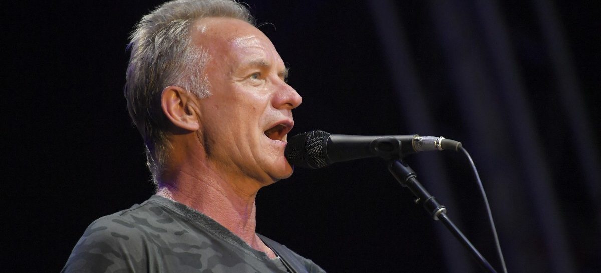 Shaggy wie vom Sting gestochen