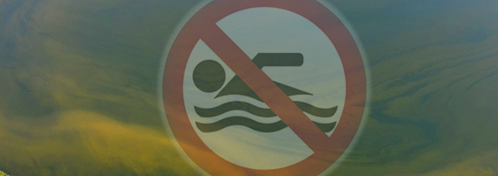 Wegen Blaualgen darf jetzt auch in Weiswampach nicht mehr gebadet werden