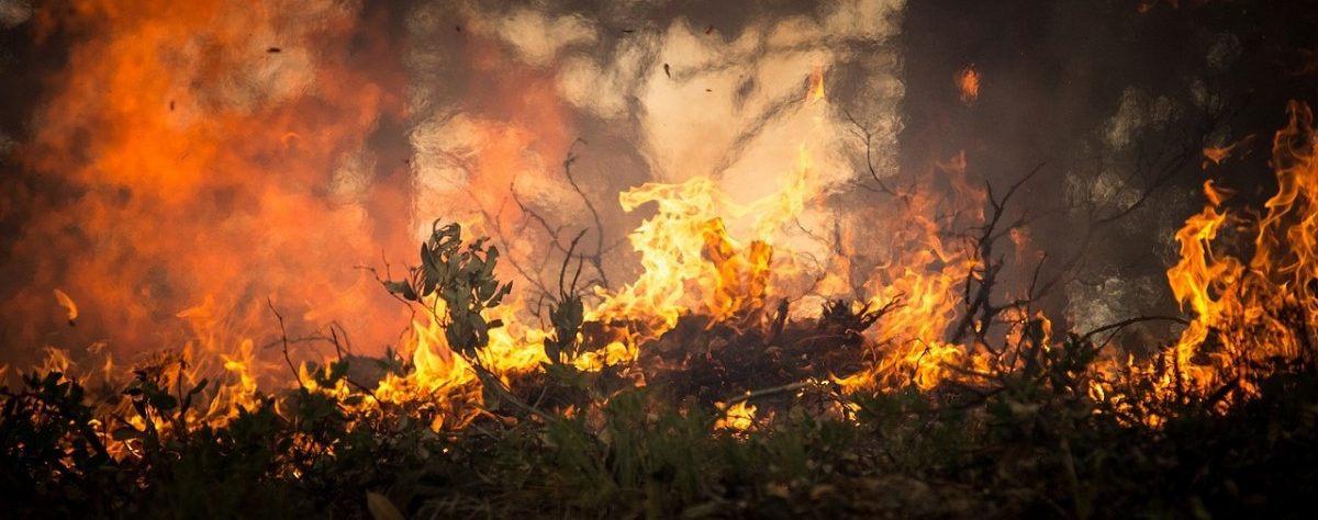 Wegen der Sommerhitze herrscht Waldbrandgefahr in Luxemburg