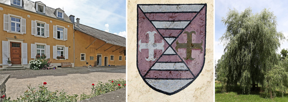 „Bonsai“: Saeul ist die kleinste Gemeinde Luxemburgs