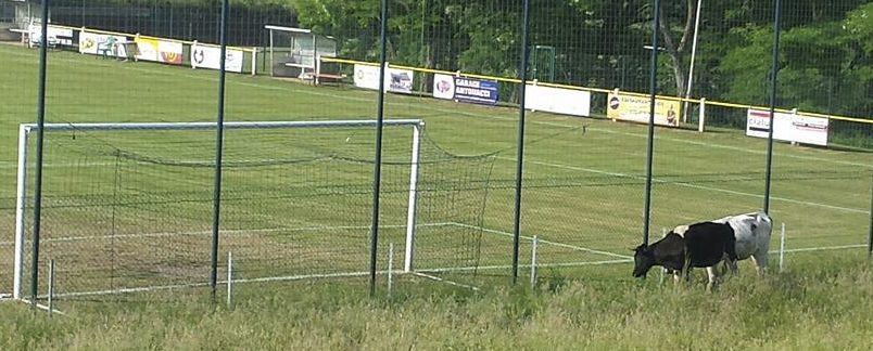 Missioun Grottekick: Luxemburgs Fußball in seiner reinsten Form