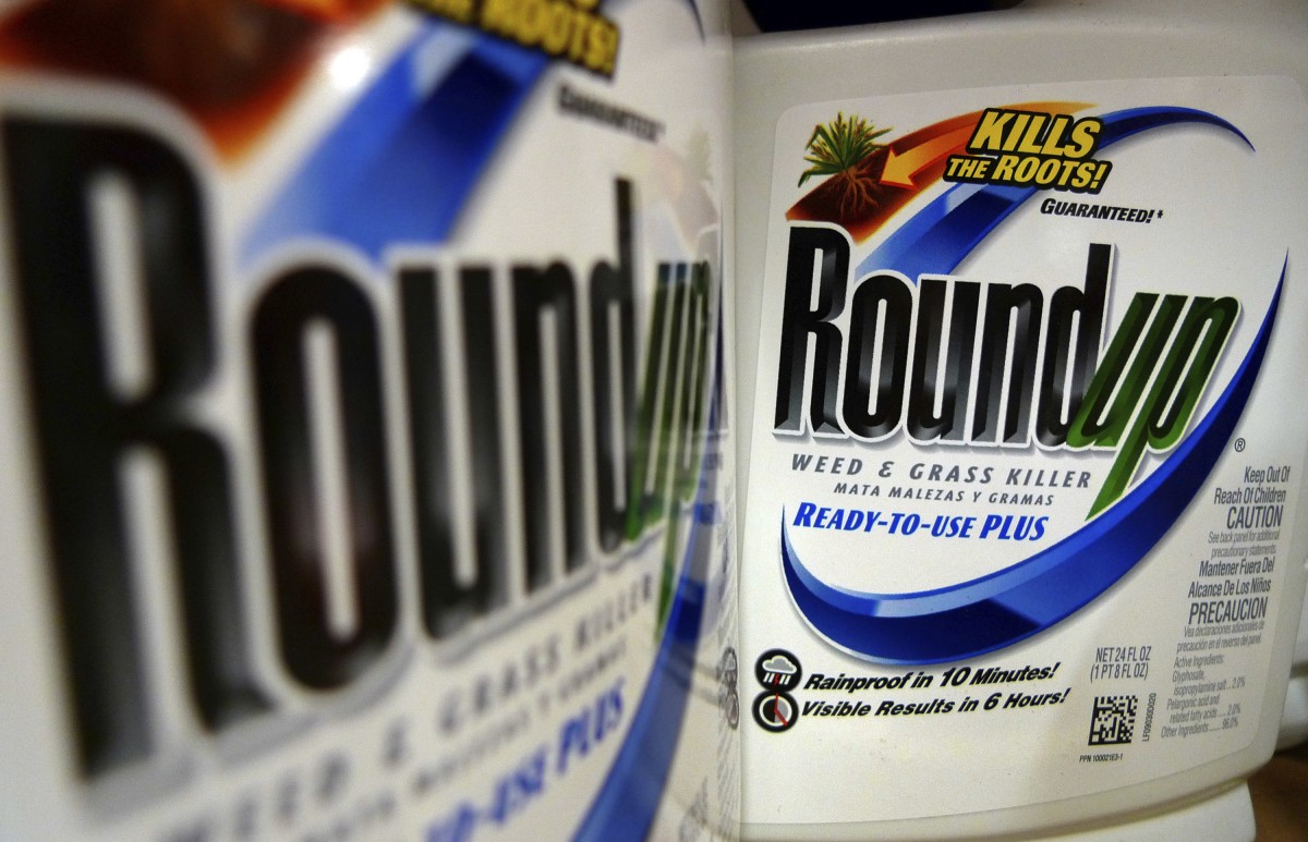Börsianer in Panik: Wie gefährlich wird der Monsanto-Kauf für Bayer?