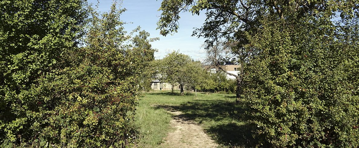 Kostenlose Selbstbedienung – Düdelingen öffnet Obstgärten für die Bürger