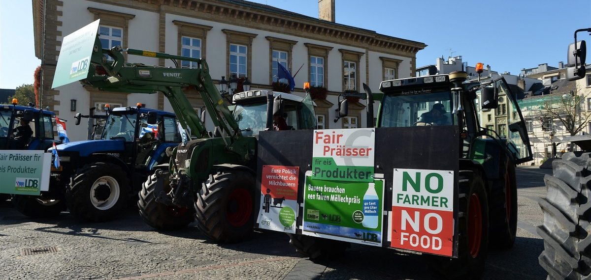 Luxemburger Milchbauern wollen Mechanismus zur Begrenzung der Produktion