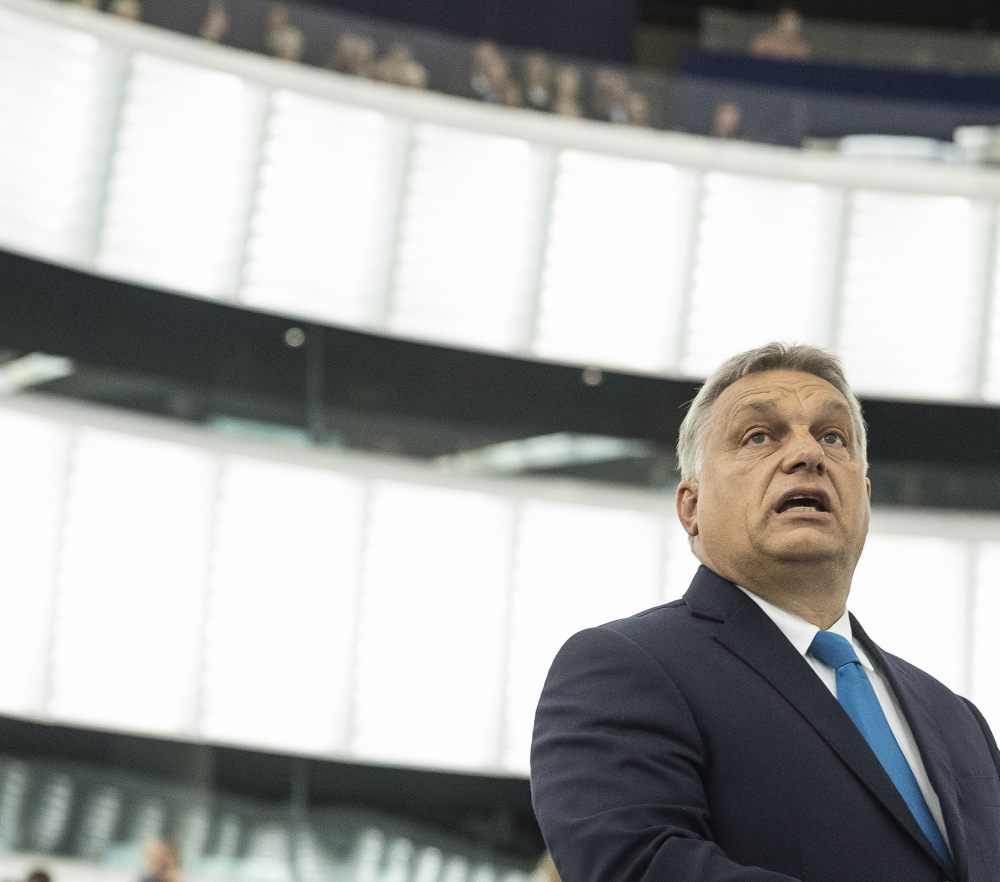 Interview mit Polit-Analyst Peter Kreko: „Orban wird auf den Rauswurf warten“