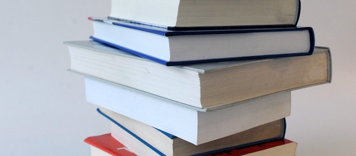 There is no alternative: Rentrée littéraire avec deux tragédies contemporaines