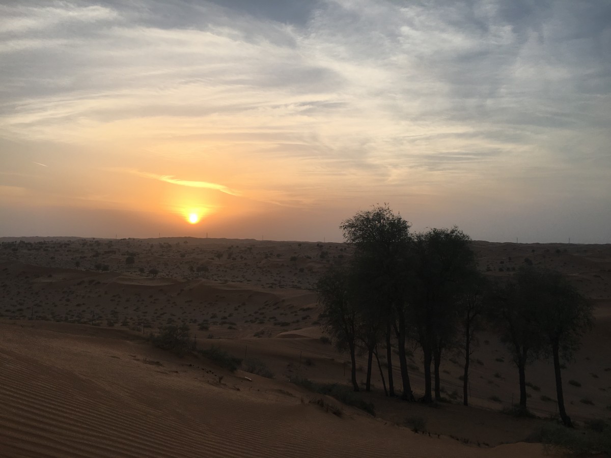 Im Bann von Wüsten, Bergen und Meer: Eine Reise von Luxemburg nach Ras-al-Khaimah