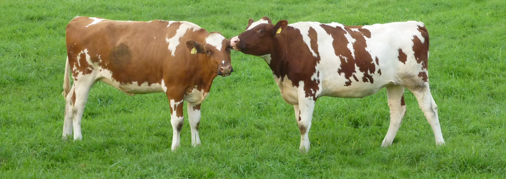 Raus aus der elitären Ecke