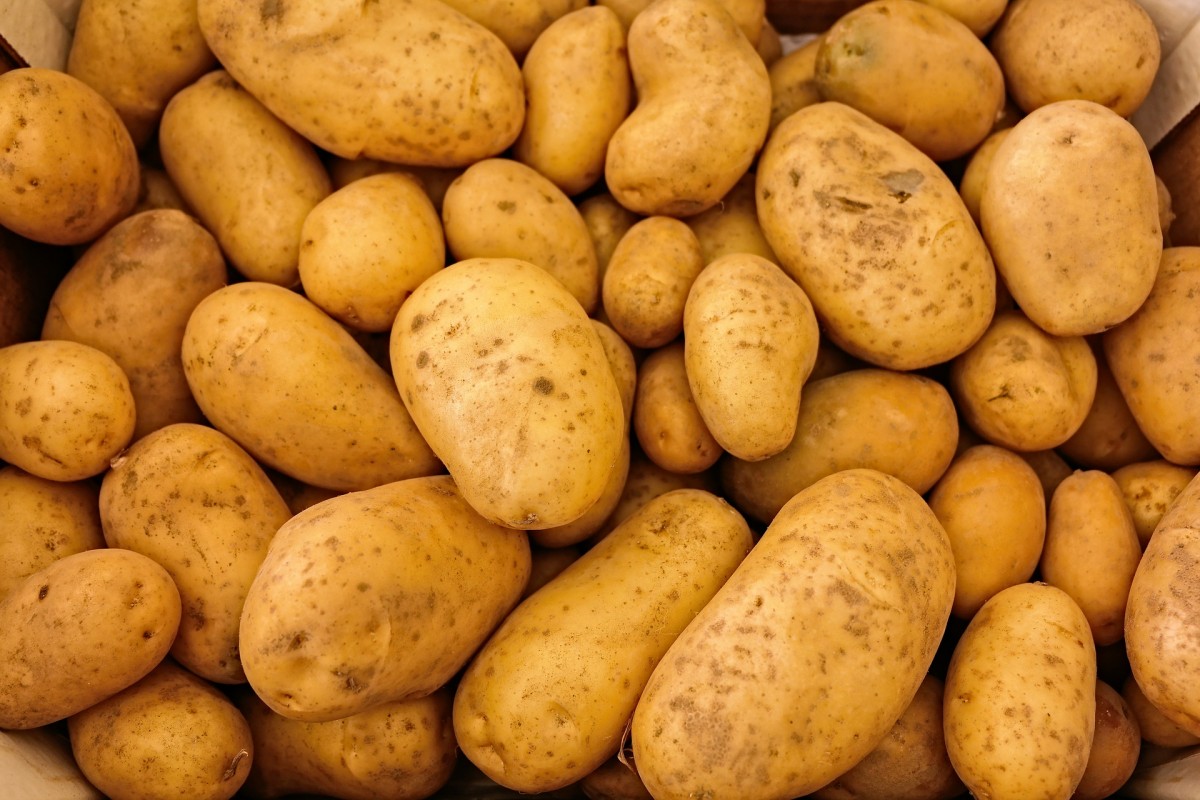 Pommes werden kleiner: So wirkt sich die Dürre auf Kartoffeln aus