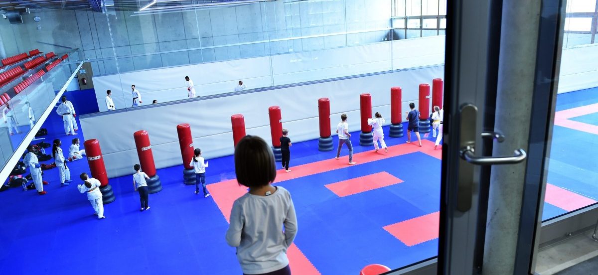 Luxemburger Karateverband: Zwei weitere Rücktritte im Vorstand fordern Konsequenzen