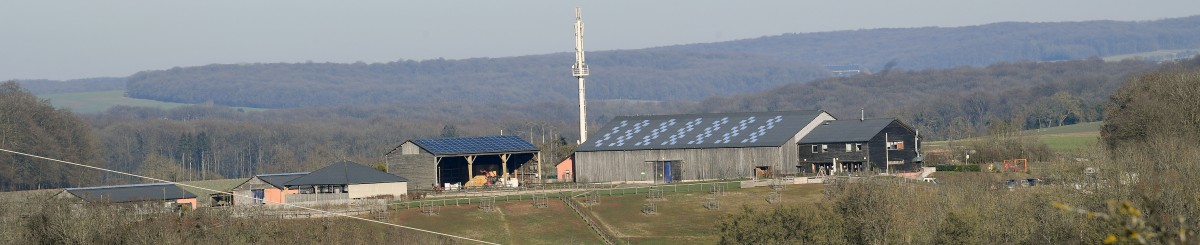 Betreute Rückführung in den Arbeitsalltag auf dem „Mutferter Haff“