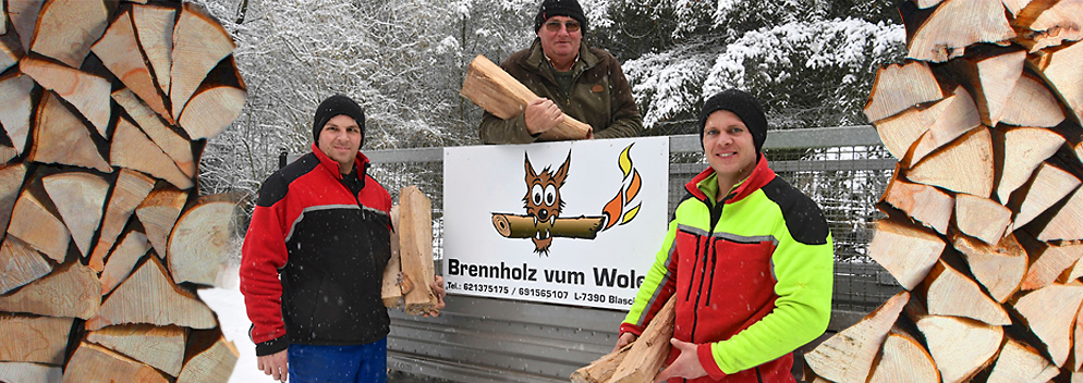 Unterschätzt: Holz aus Luxemburg ist ein lokaler und klimafreundlicher Brennstoff