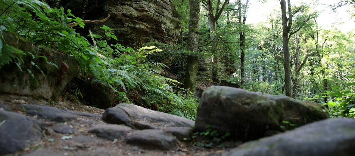 Kein Geopark: Unesco lehnt Bewerbung des Müllerthals ab