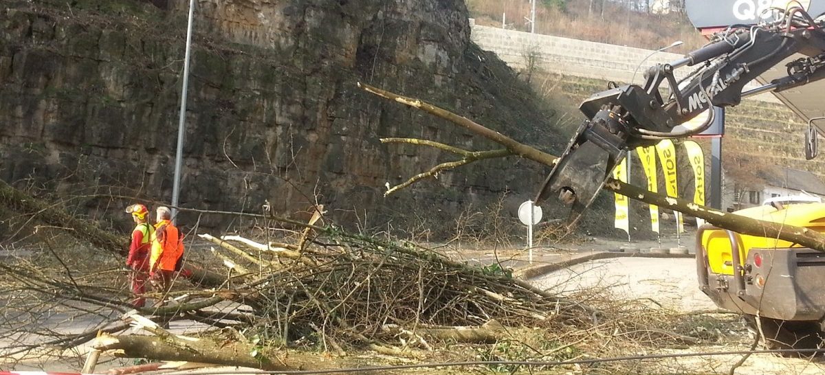 Bürger aufgebracht: Stadt Luxemburg fällt Bäume an der Pulvermühle