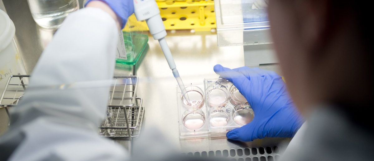 Wissenschaft für alle – Freier Zugang zu Ergebnissen