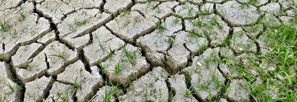 Prima Klima: Von notwendigen Anstrengungen in einer hochtourigen Wirtschaft