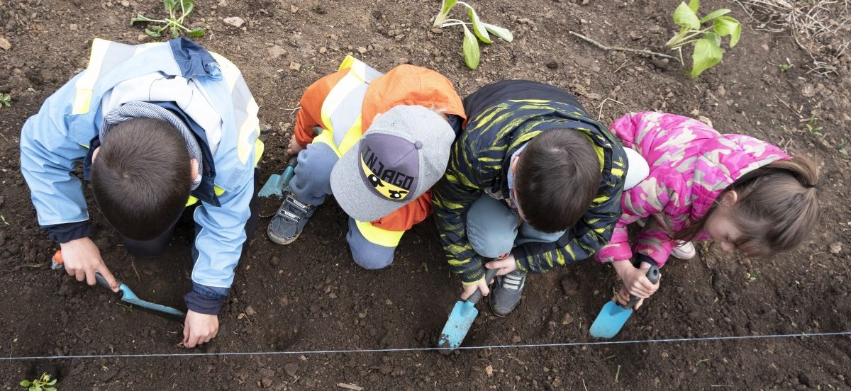Eine Kartoffel namens Charlotte: Gartenarbeit für Kinder ab fünf Jahren im „Geméisguart“