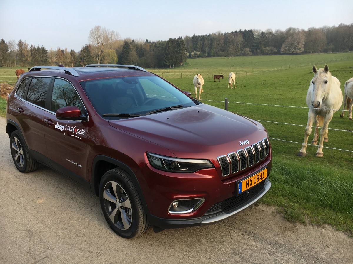 Stadtindianer und Asphaltcowboy