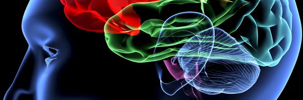 Auch Junge kann es treffen: Schlaganfall-Verein „Blëtz“ will sensibilisieren