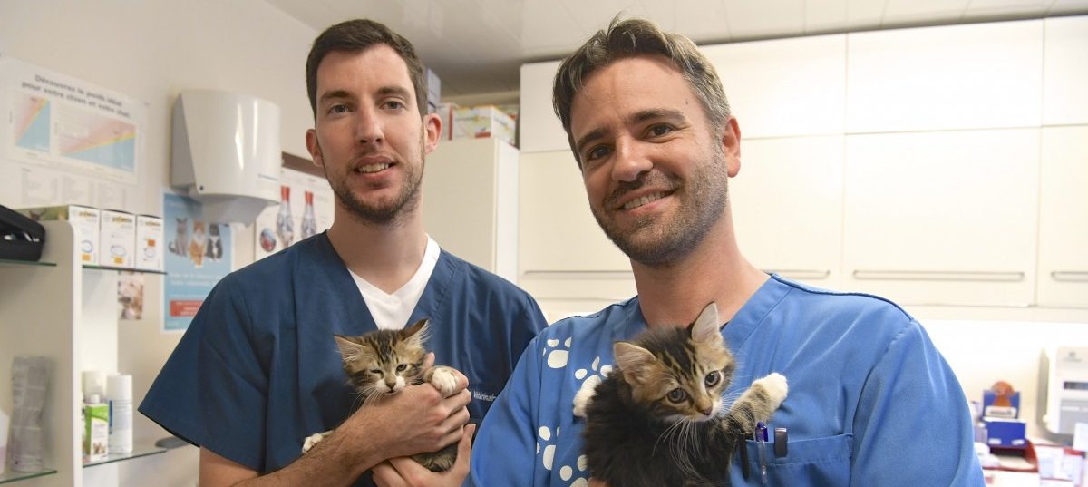 Escher Tierarztpraxis startet Initiative für den Schutz von Orang-Utans