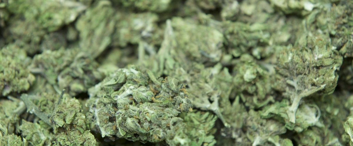 Keine neuen Patienten: Engpässe beim medizinischen Cannabis sollen vermieden werden