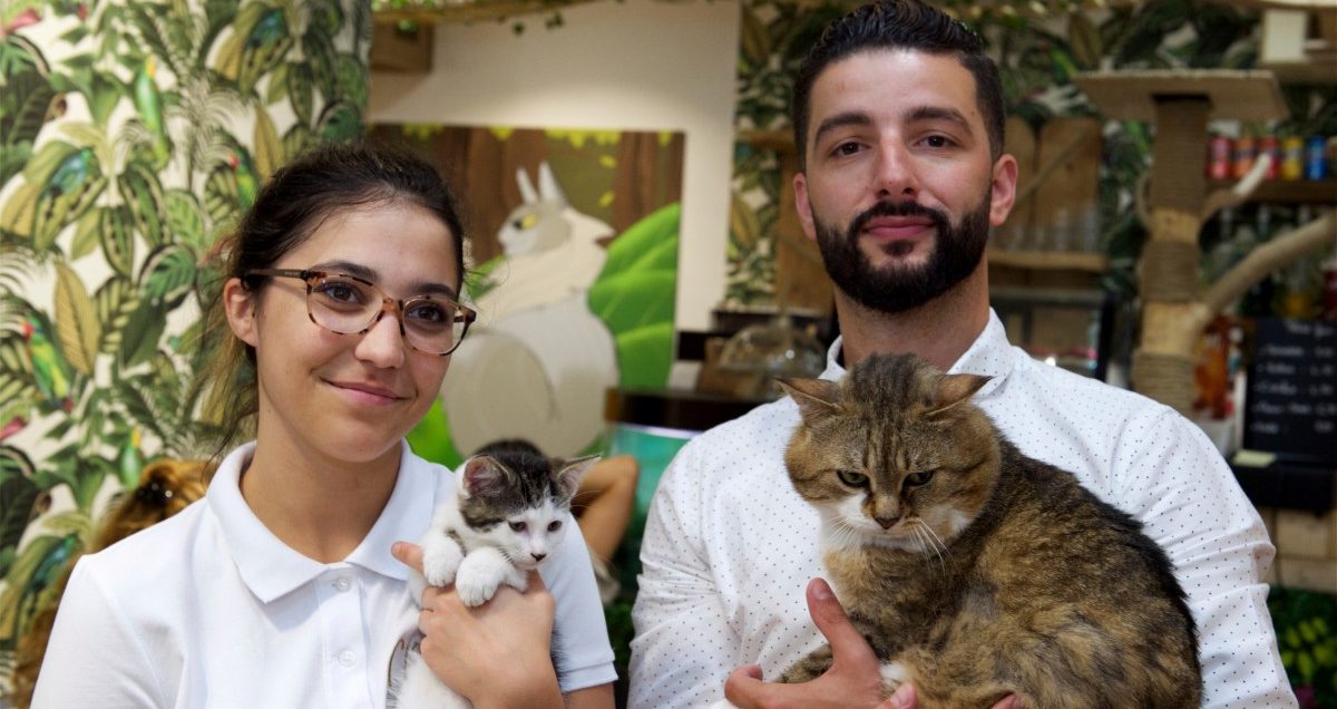 Streichel dich glücklich: Erstes Katzencafé in Luxemburg eröffnet