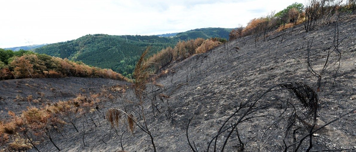 Waldbrandgefahr in Luxemburg steigt wegen anhaltender Trockenheit