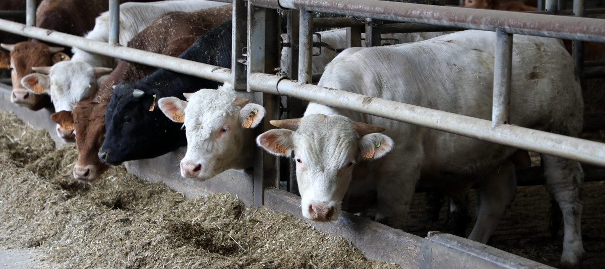 Leben auf Pump: Menschheit verbraucht zu viele Ressourcen