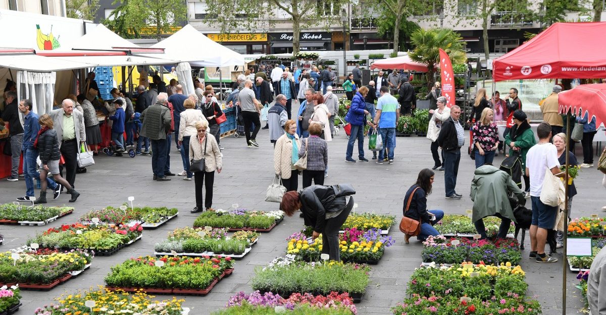 Düdelinger werden zu Experten: Zwei neue Formate der Bürgerbeteiligung vorgestellt