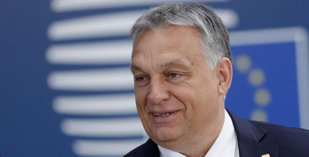 „Opposition geschlossen gegen Orban“: Momentum-Gründer Fekete-Györ kämpft für eine Wiederholung der Geschichte