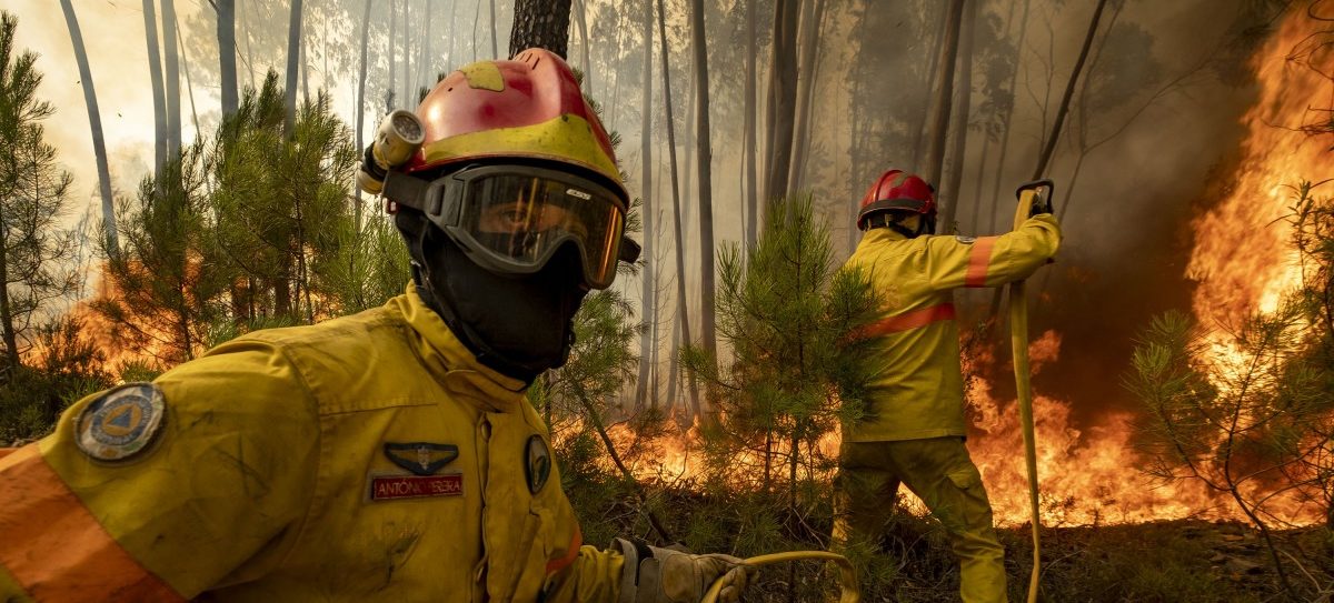 Brände in Portugal zerstören rund 70 Quadratkilometer Wald