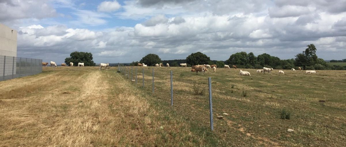 Steinwolle, Blech und Puzzleteile: Über 40 Helfer räumen nach Tornado Felder auf