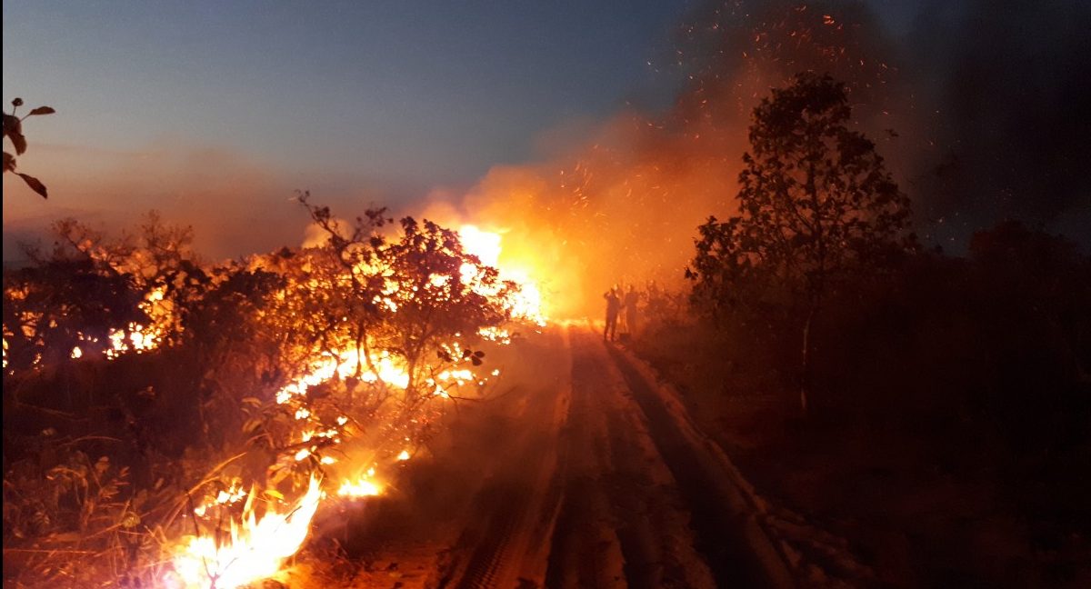 Waldbrände im Amazonasgebiet: Kritik an anderen ist immer einfach
