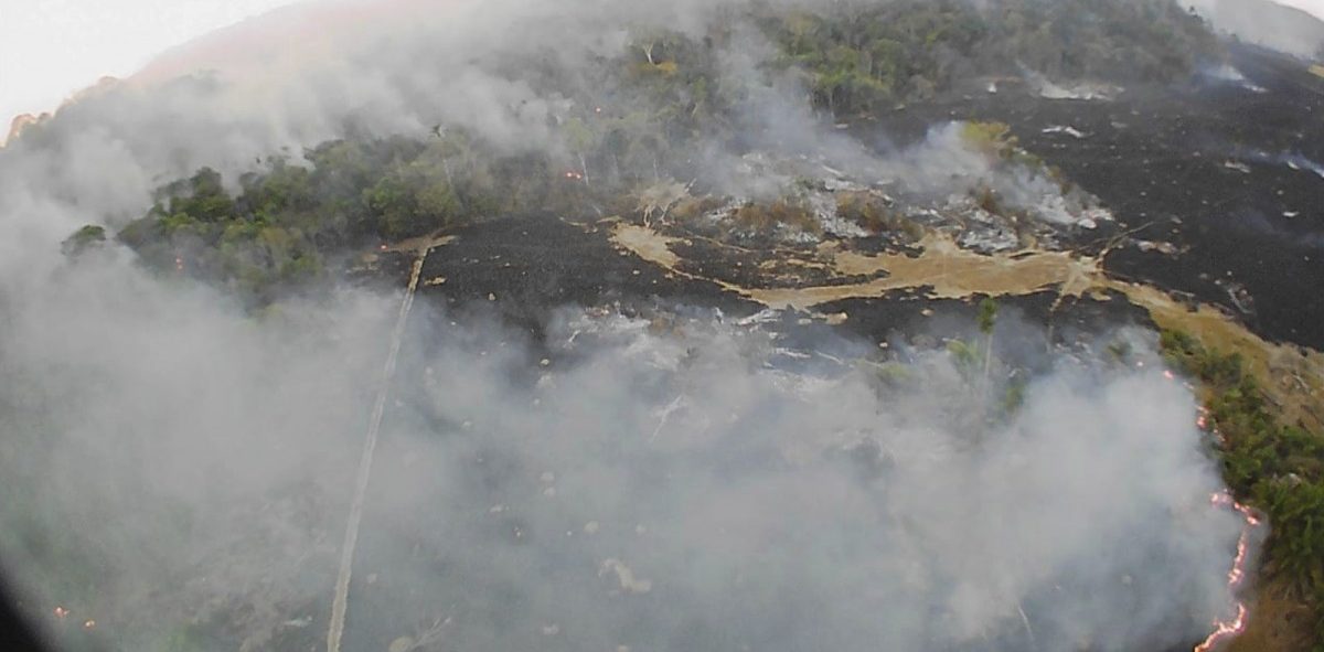 Flammenhölle Amazonas: Brände zerstören Brasiliens grüne Lunge