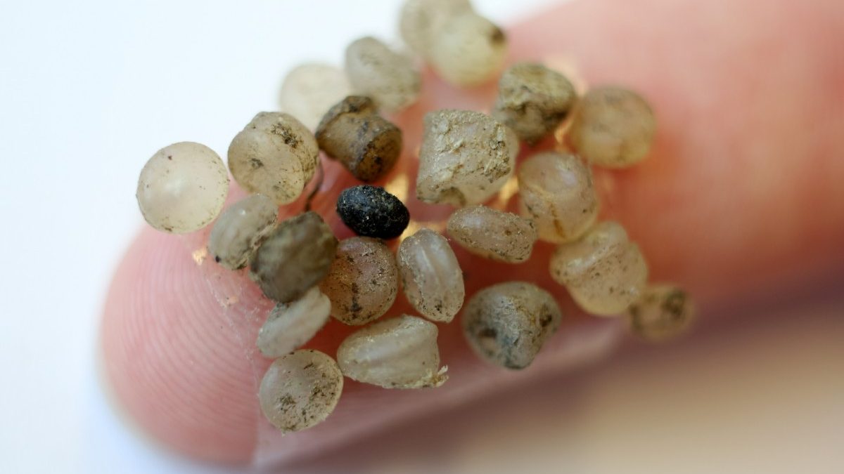 Studie der WHO zu Mikroplastik im Trinkwasser: Kaum Gefahr erkennbar